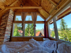 Apartman Dzakovic